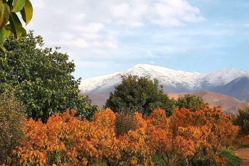عکس| نخستین برف پاییزی از منظره روستای جابان دماوند