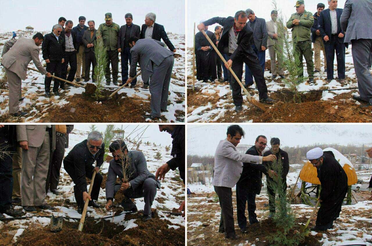 زمین برفی دماوند به دست مسؤولان سبزپوش شد/ غرس گونه‌های درختچه‌ای برای نخستین بار در بام تهران/ ۳۷ متر مربع سرانه فضای سبز در دماوند+ گزارش تصویری
