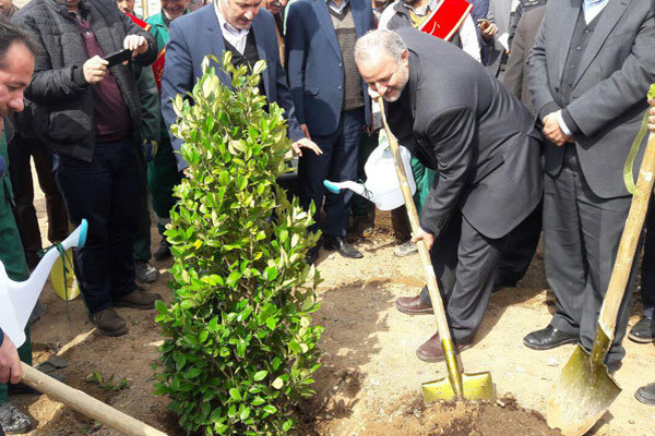 ۲.۵ هکتار از اراضی پردیس درختکاری شد/ توزیع بیش از ۵۰ هزار اصله نهال رایگان در پردیس/ پردیس به استقبال جمعیت ۶۰۰ هزار نفری می رود/ حفاظت از محیط زیست و درختان باید فرهنگ شود