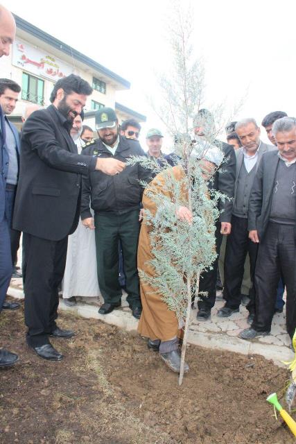 آغاز طرح جنگل کاری در ۳۰ هکتار از اراضی آبسرد/ برگزاری مانور مشترک یگان های حفاظت در دماوند