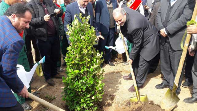 گسترش فضای سبز با برنامه‌ریزی بر روی پساب‌های تصفیه‌خانه‌های شهر پردیس/ نهضت فضای سبز برای افق جمعیتی ۵۰۰ الی ۶۰۰ هزار نفری شهرستان پردیس