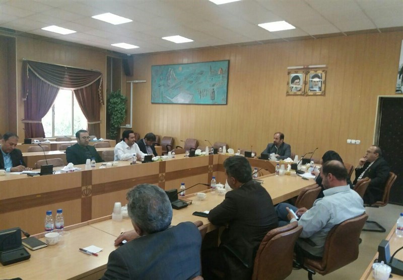 هشدار مسئولان نسبت به افزایش مشکلات عفونتی ناشی از سگ‌های ولگرد در دماوند