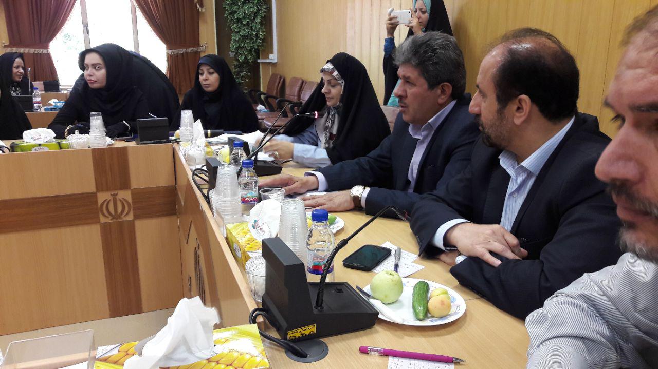 راهاندازی سایت فروش محصولات بانوان کارآفرین در تهران/ فضای اینترنتی بستر مناسبی برای فروش محصولات است