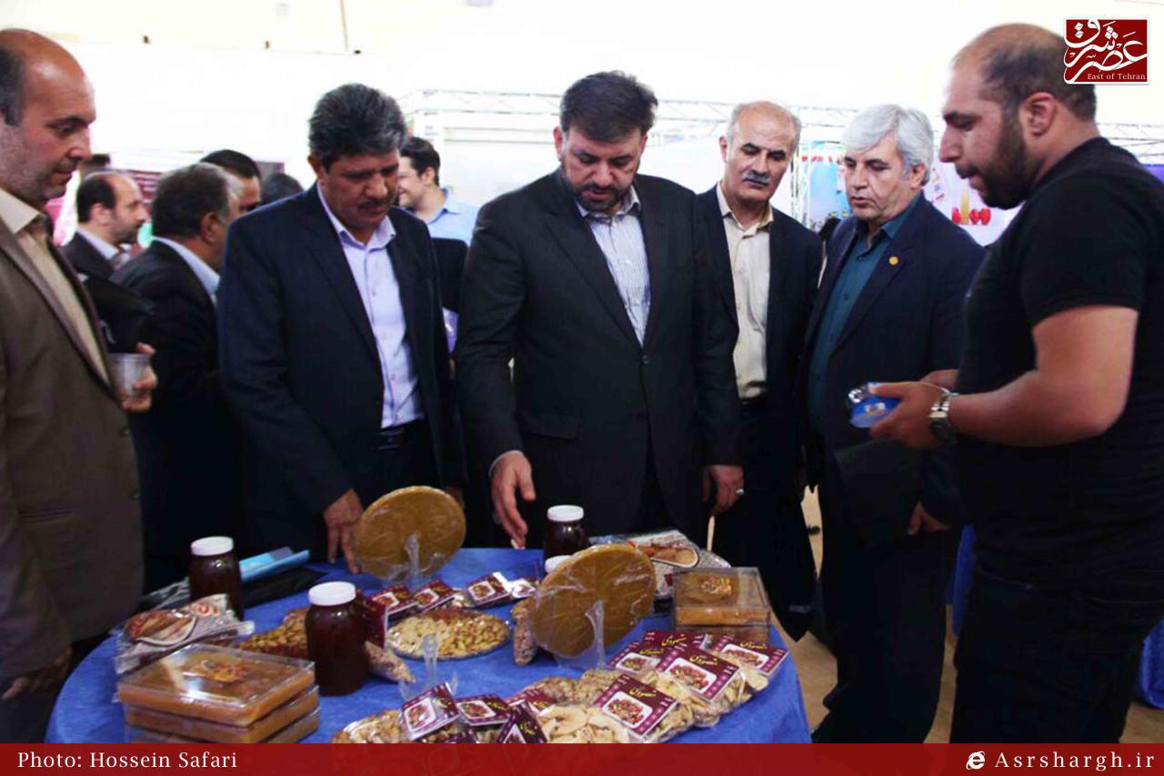 لزوم استفاده از ظرفیت‌های گردشگری برای توسعه دماوند/ جاذبه‌های دماوند موجب باورسازی صنعت گردشگری شود