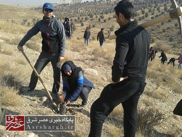 طرح جنگلانه در شهرستان دماوند اجرا شد+ تصاویر