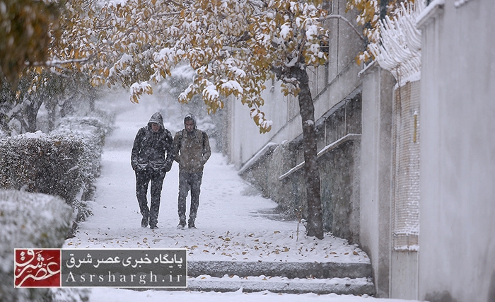 وقوع بارش برف در روز شنبه در دماوند/ کولاک برف برای روز یکشنبه در دماوند پیش‌بینی می‌شود