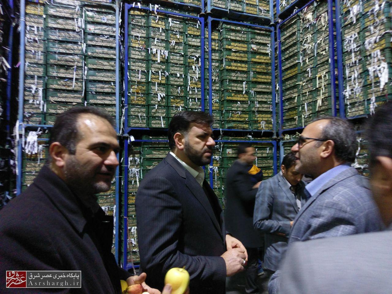 ذخیره‌سازی ۲۵۰۰ تن سیب در سردخانه‌های دماوند/ شهروندان تهرانی در تأمین میوه شب عید مشکلی نخواهند داشت