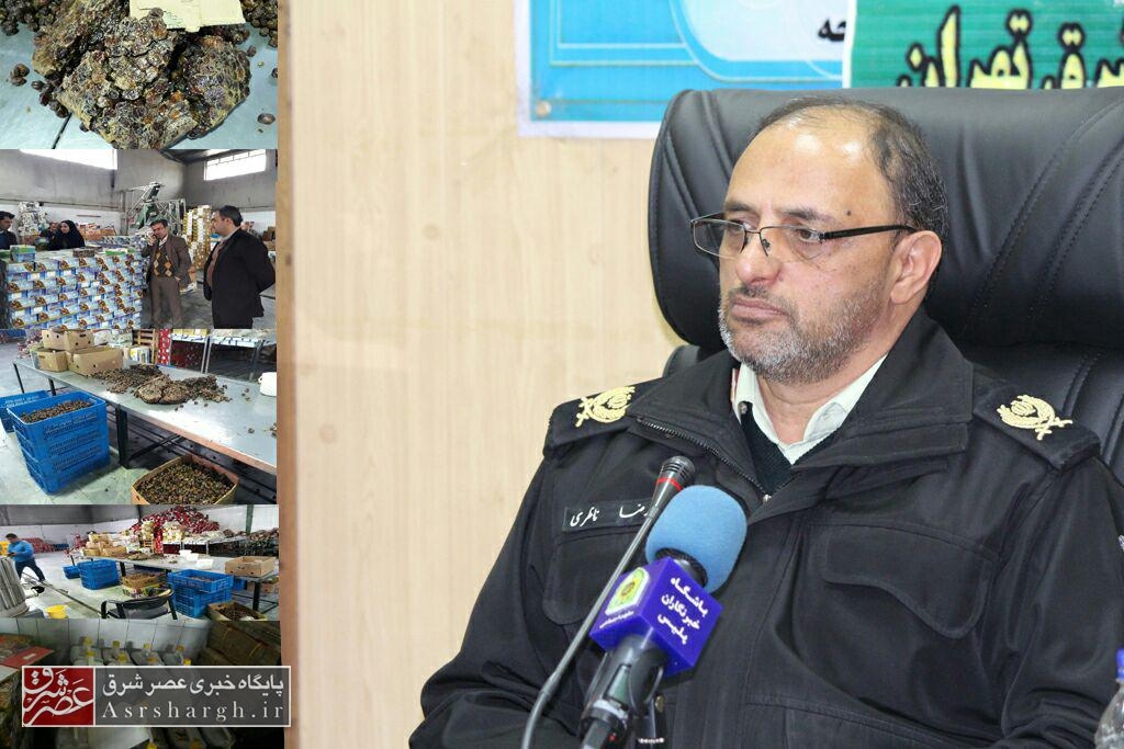 کشف بیش از ۱۰۰ تن خرمای غیربهداشتی در شهرک صنعتی دماوند/ احیای خرماهای تاریخ گذشته با استفاده از برند جعلی