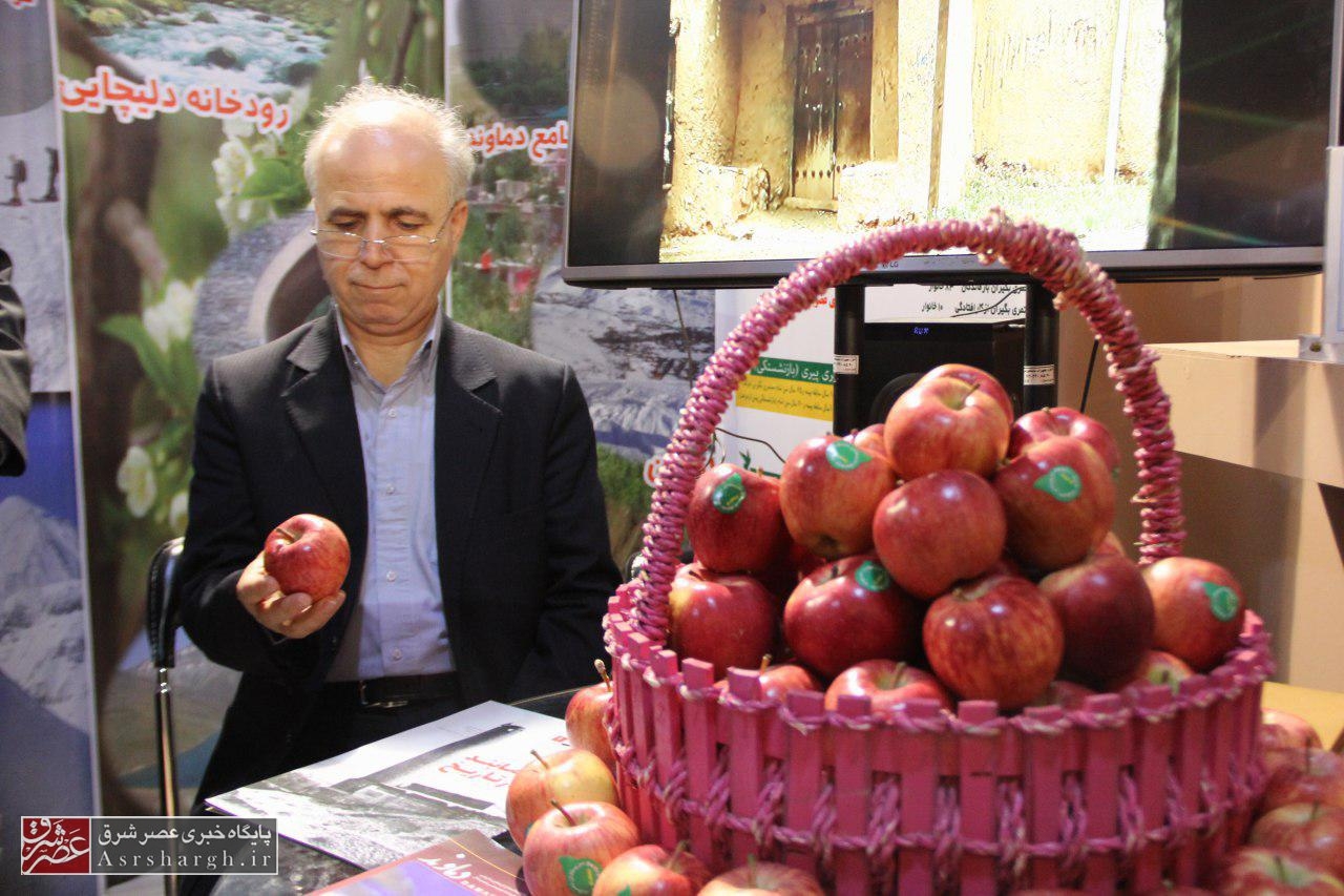 معرفی جاذبه‌های گردشگری و محصولات دماوند در نمایشگاه ملی توانمندی‌های روستائیان/ دستاوردهای بانوان کارآفرین دماوندی به نمایش گذاشته شد