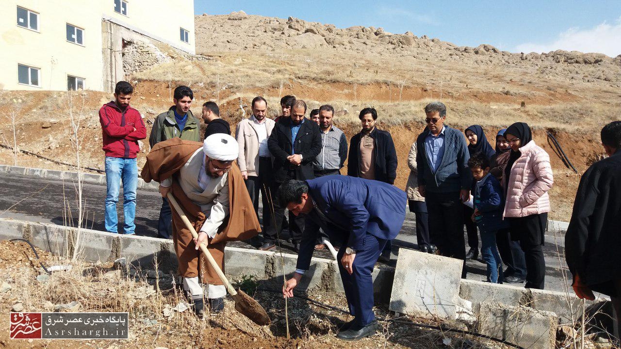 غرس نهال توسط مسؤولان در دانشگاه پیام نور دماوند+ تصاویر