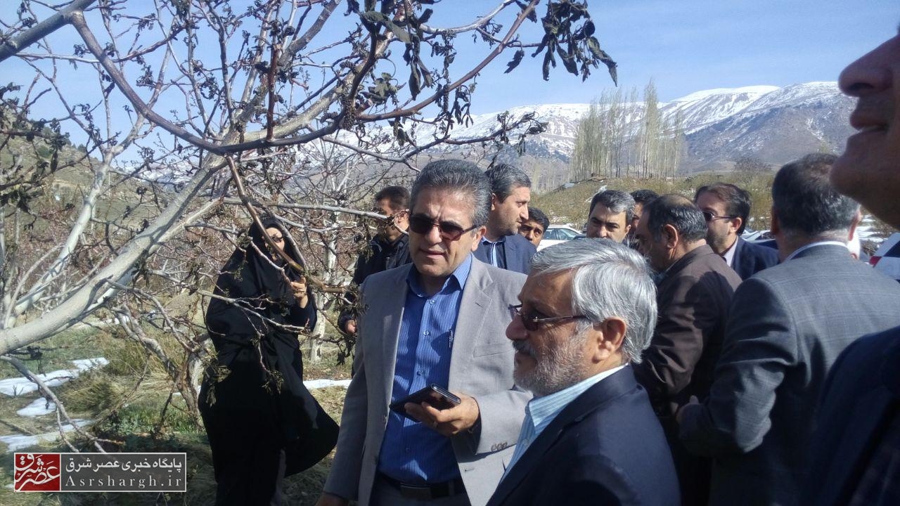 خسارات باغداران در کمترین زمان ممکن پرداخت می‌شود/ ۶۰ میلیارد ریال خسارت سرمازدگی در سال گذشته به باغداران دماوندی پرداخت شد