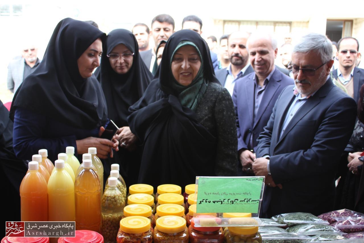 ۱۴ هزار نفر زیرپوشش بهزیستی دماوند هستند/ دماوند دارای ۱۲۶۰ زن سرپرست خانوار است