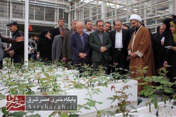 بهره‌برداری از گلخانه یک هکتاری هیدروپونیک در رودهن/ گلخانه‌ای که یک میلیون بشکه نفت ارزآوری دارد+ تصاویر