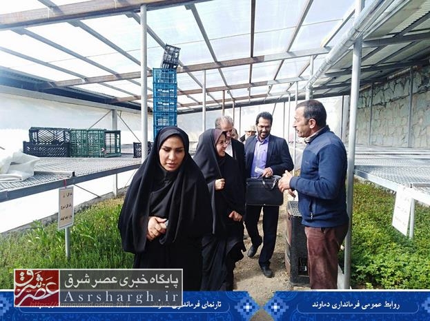 دهیاری‌ها منطبق با سند توسعه حرکت کنند/ وجود ۷۰۰ روستا در استان تهران/ تصویب ۵ دهیاری در انتظار هیئت وزیران