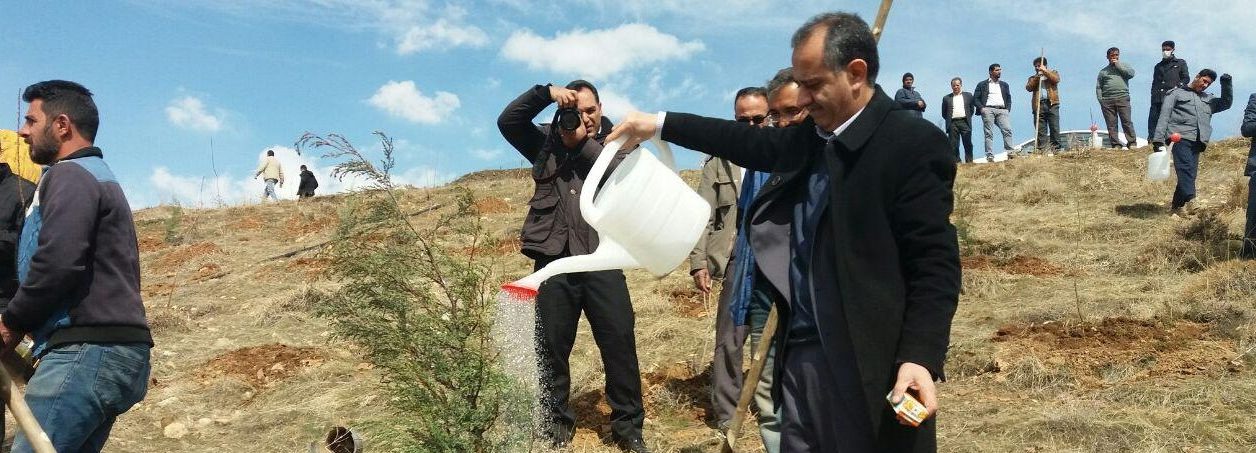 ایجاد پارک بانوان در دماوند/ غرس ۴۰۰ اصله نهال در چشمه اعلاء