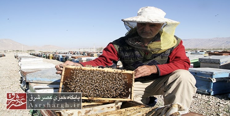پرداخت تسهیلات ۳۰ میلیارد ریالی به زنبورداران دماوندی