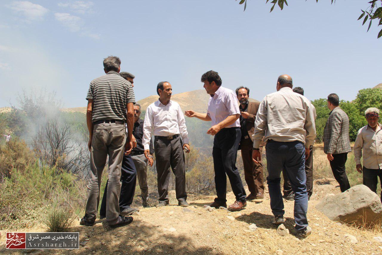 آتش‌سوزی ۱۴ هکتار از باغات در کیلان/ امکانات آتش‌نشانی پاسخ‌گو نیست+ تصاویر