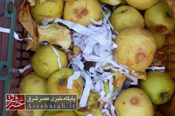 یک‌هزار تن سیب هیچ ربطی به دماوند ندارد