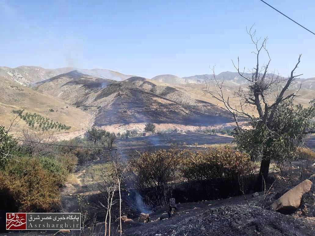 ۳۰ هکتار از باغات و اراضی روستای « زیارت» در آتش سوخت
