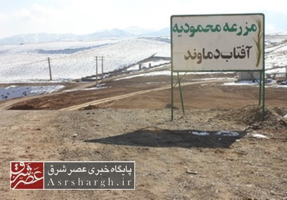 دستور قضایی برای حذف راهبند مزرعه محمودیه/ ویلاسازیهای گسترده و میلیاردی غیرمجاز