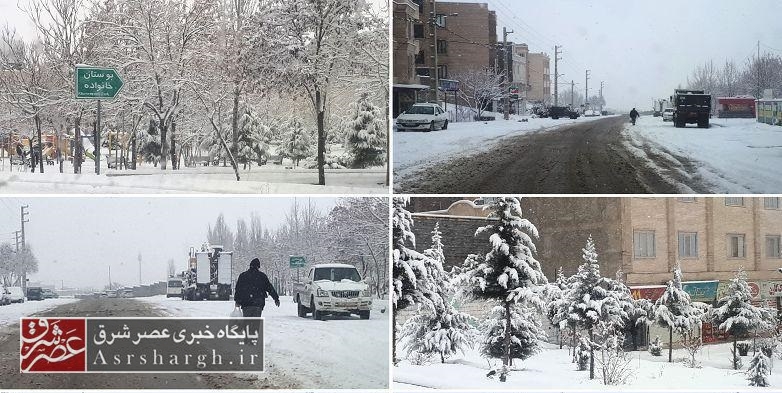 فیلم| حال و هوای برفی دماوند