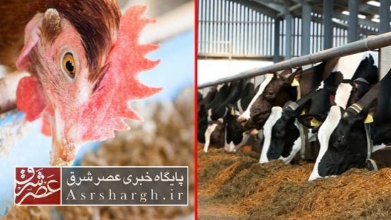 ۲۱ واحد راکد در دماوند به چرخه تولید بازگشتند/ اشتغال ۶۰ دماوندی با فعال شدن واحدهای تولیدی