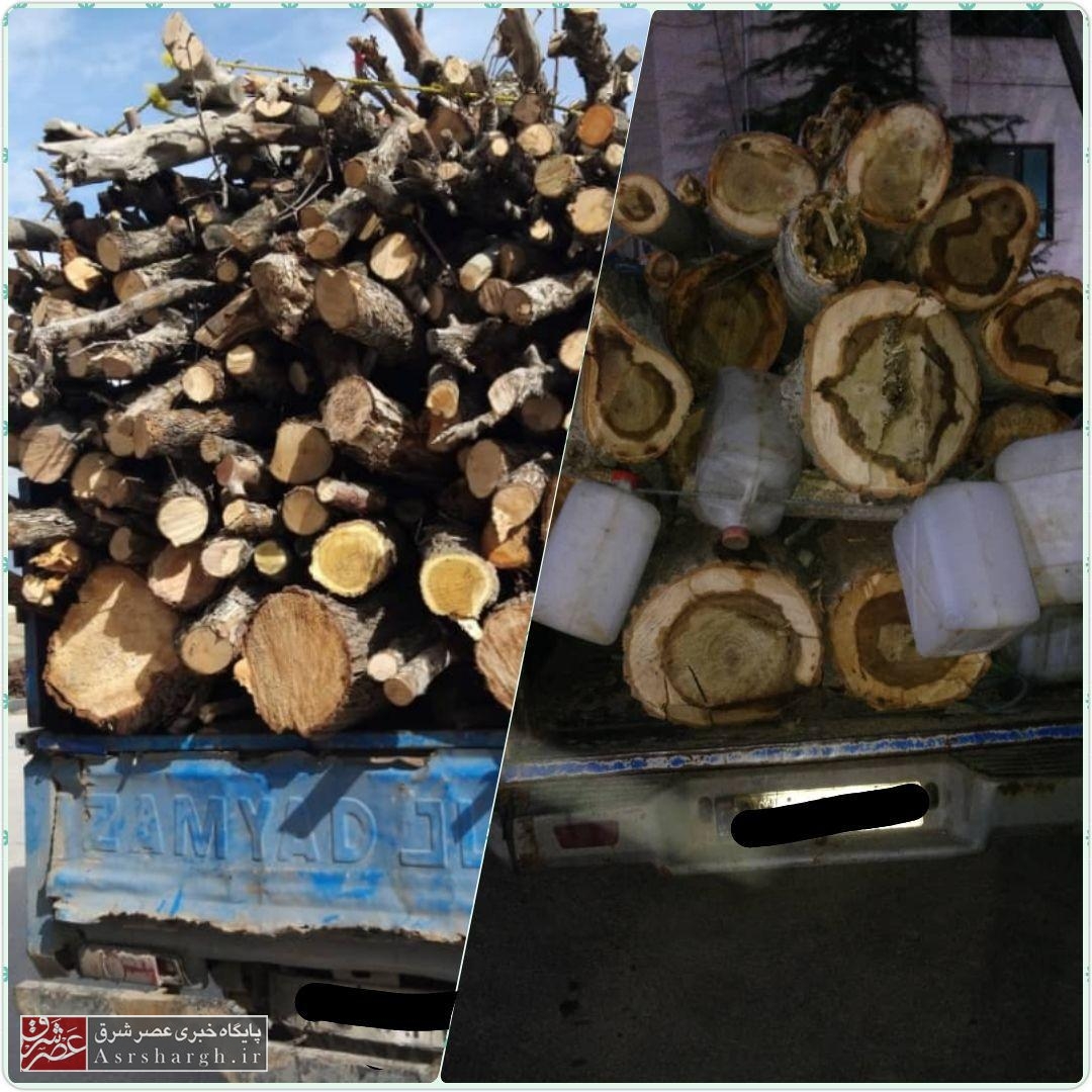 توقیف خودروهای حامل درختان قطع شده در شهر آبسرد