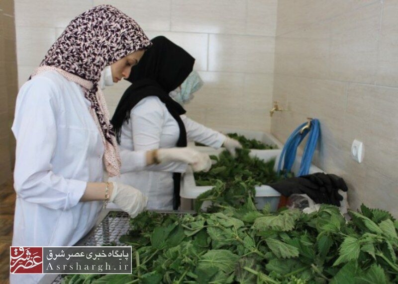 پرداخت بیش از ۳۳ میلیارد ریال وام خودکفایی به مددجویان کمیته امداد دماوند