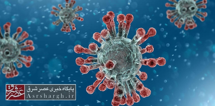 دماوند و پردیس در وضعیت نسبتاً پرخطر کرونایی/ فیروزکوه آبی است دماوند و پردیس در وضعیت نسبتاً پرخطر کرونایی/ فیروزکوه آبی است