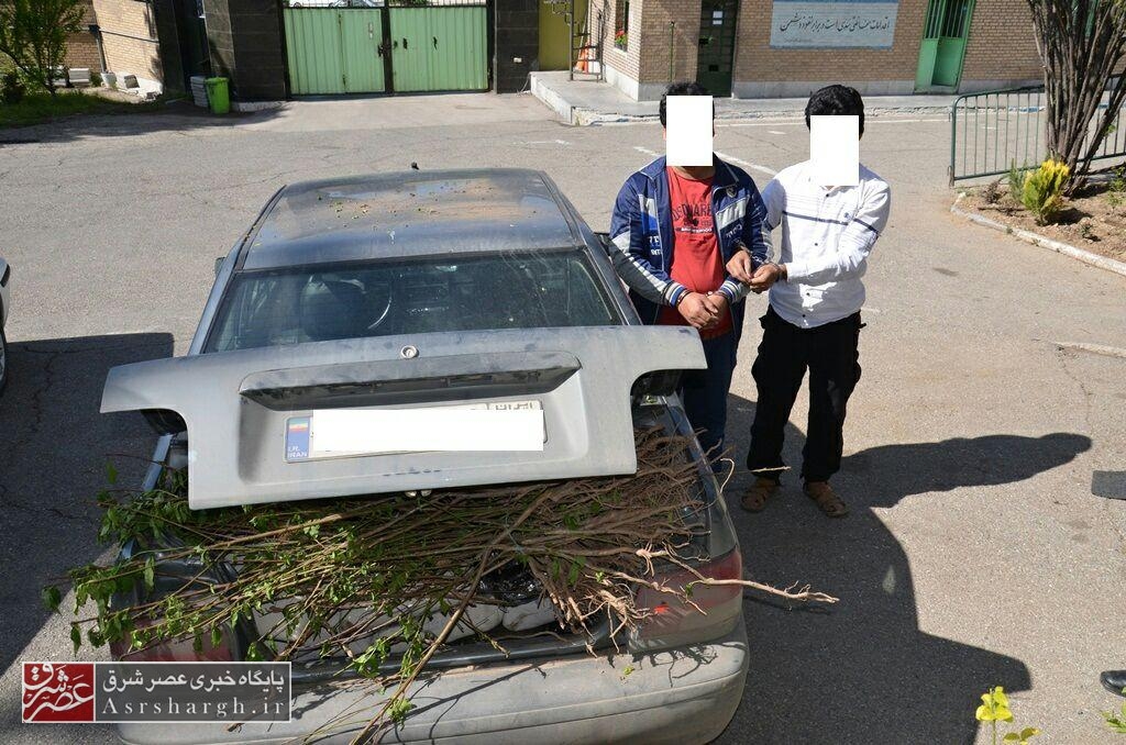 کشف ۲۵۷ کیلو مواد مخدر در دماوند/ مبارزه بی‌امان پلیس با سوداگران مرگ