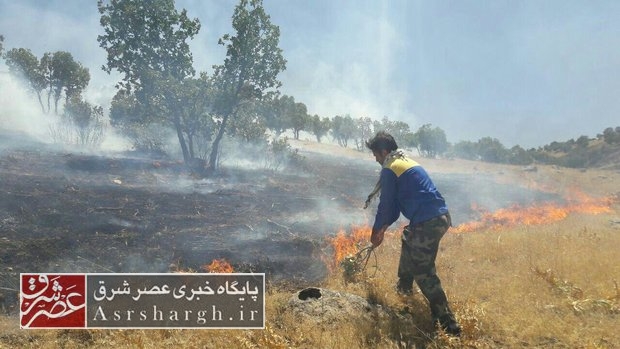 آمادهباش دستگاههای خدماترسان برای مقابله با حریق عرصههای طبیعی در دماوند