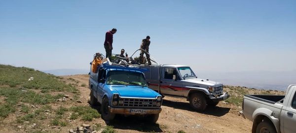 بیش از ۵ هزار هکتار از سطوح دماوند تحت دیدبانی ملخ بومی قرار گرفت