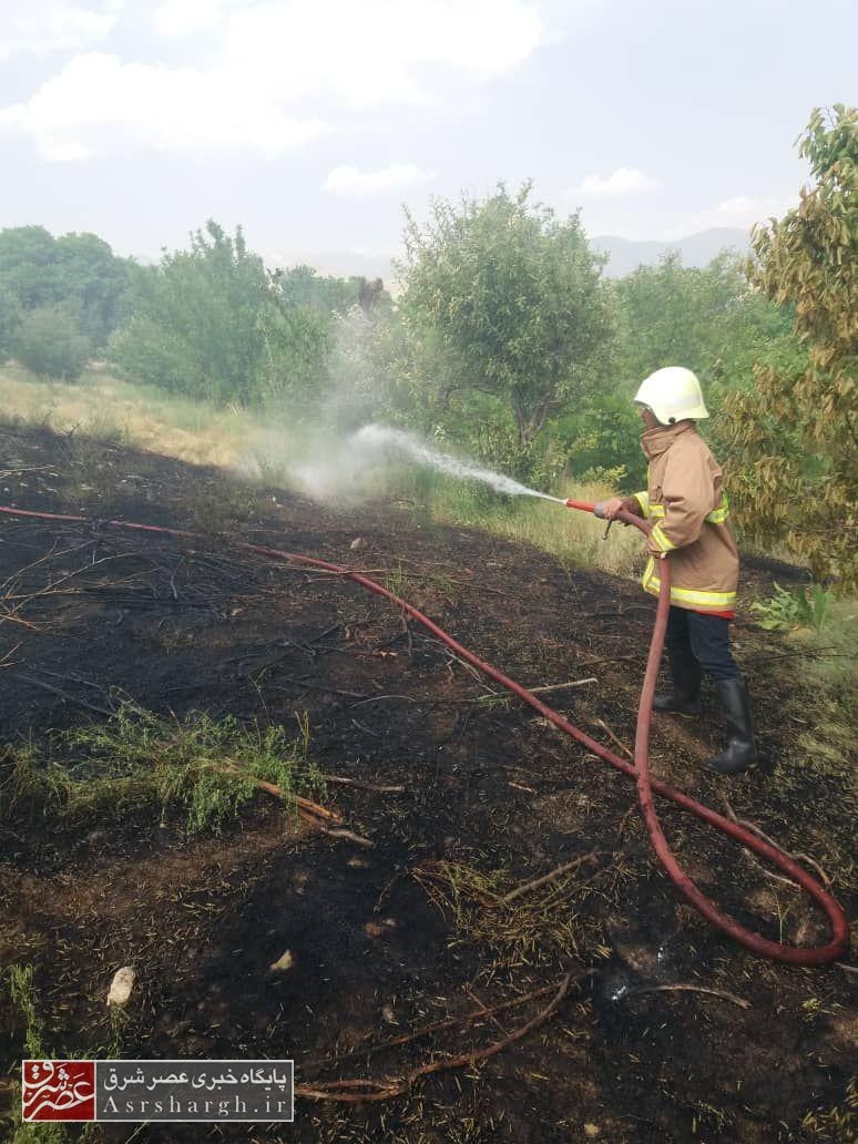 مهار ۷ مورد آتش‌سوزی و ۳ مورد مارگیری توسط آتش نشانی دماوند+ تصاویر