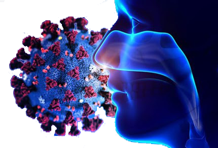 آسیب جدی کرونا به روح و جسم دانش‌آموزان تهرانی