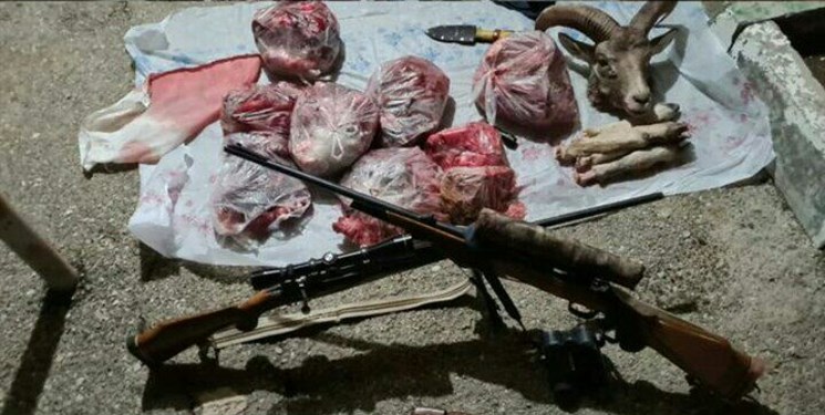 دستگیری ۶ شکارچی در دماوند/ دو قبضه سلاح کشف شد