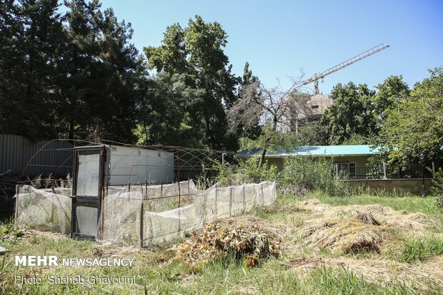 ضعف نظارتی و خلاء قانونی؛ چالش مقابله با تغییرکاربریها