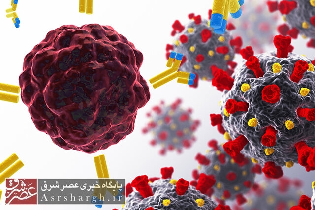 دلتای هندی در نزدیکی‌ دروازه‌های پایتخت!