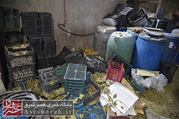 کشف ۶۰ هزار لیتر مشروبات الکلی دست ساز از ویلایی در چناران رودهن