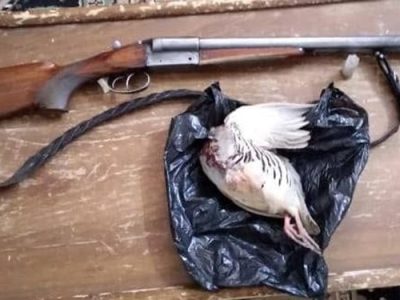 دستگیری شکارچی غیرمجاز در منطقه ممنوعه کوهسفید دماوند