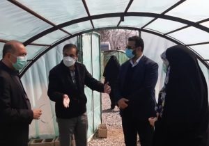 افزایش سرانه فضاهای سبز و تفریحی در شهر دماوند