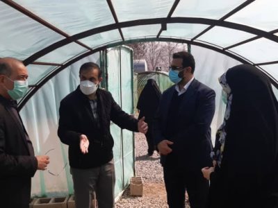 افزایش سرانه فضاهای سبز و تفریحی در شهر دماوند