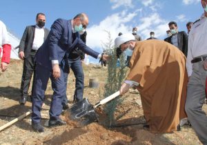 روز درختکاری در شهرهای دماوند/ غرس نهال از چشمه اعلاء تا اراضی آبعلی+ تصاویر