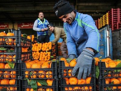 پیش‌بینی ۱۴۰ تن میوه شب عید در دماوند/ نظارت بر بازار شب عید تشدید شود