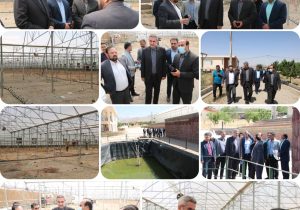 دستور فرماندار دماوند در خصوص رفع مشکل ۴ ساله گلخانه کشت توت فرنگی در روستای چنار شرق شهرستان دماوند