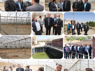 دستور فرماندار دماوند در خصوص رفع مشکل ۴ ساله گلخانه کشت توت فرنگی در روستای چنار شرق شهرستان دماوند