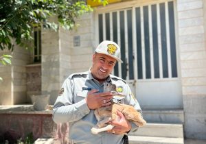 «اسماعیل میرزاکریمی» از دماوند محیط‌بان نمونه استان تهران شد