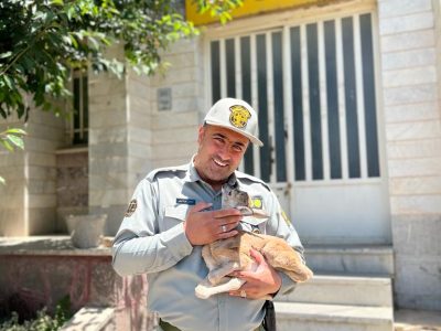 «اسماعیل میرزاکریمی» از دماوند محیطبان نمونه استان تهران شد