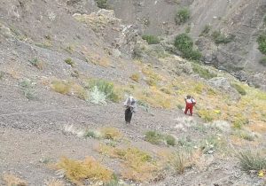 ۵ کوهنورد گرفتار در ارتفاعات دریاچه تار دماوند نجات یافتند