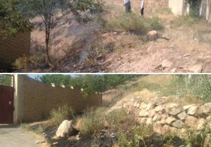 اطفای حریق گسترده یک باغ در روستای زان+ تصاویر