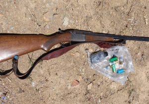 کشف یک قبضه سلاح شکاری و لاشه کل و بز وحشی در دماوند